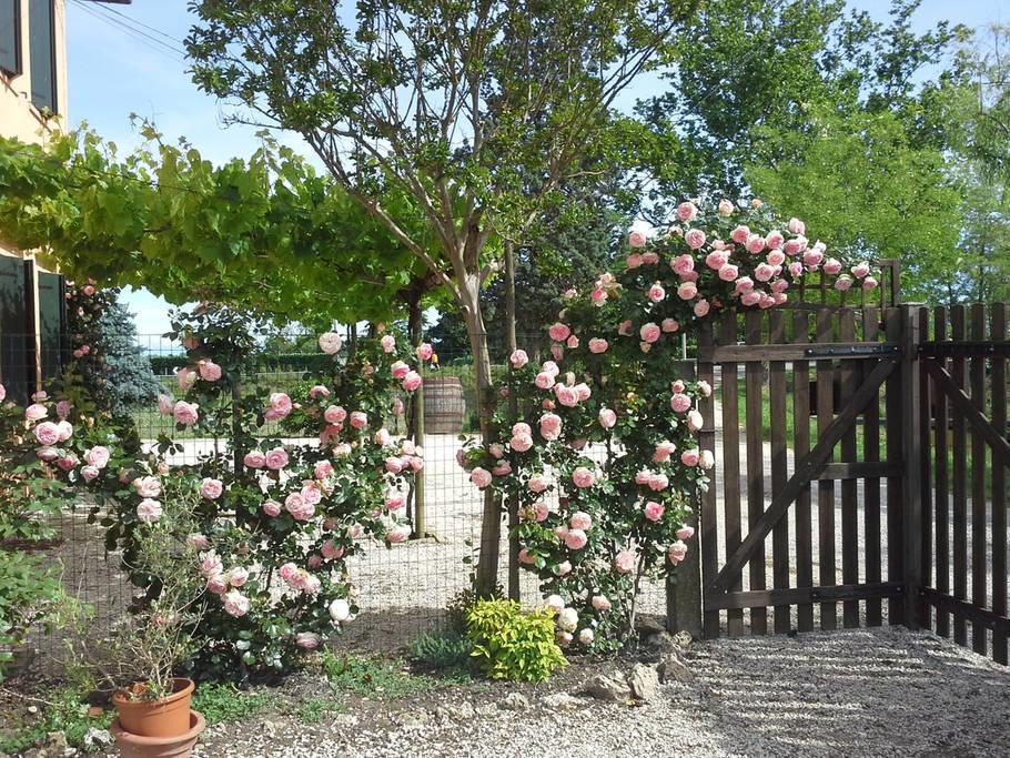 B&B Verde Venezia Μέστρε Εξωτερικό φωτογραφία
